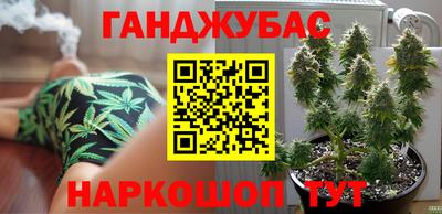 дживик Аша