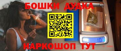 дживик Аша