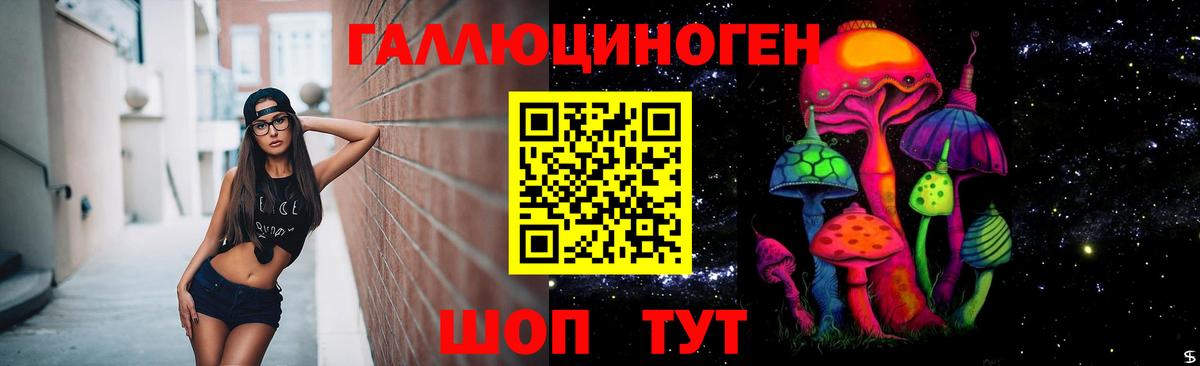 Псилоцибиновые грибы GOLDEN TEACHER  Вход с VPN  Вятские Поляны 